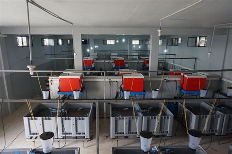 Fish Hatchery Systems .